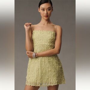 NWT Anthropology 3D Floral Embellished Mini Dress